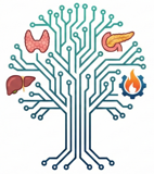 Splenser Endocrinology